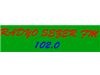 Radyo Sezer Bilgileri