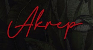 Akrep 2. Bölüm İzle