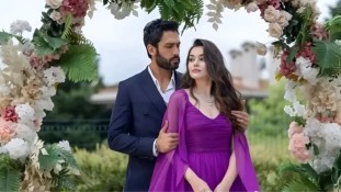 Kuma Yeni Sezon Ne Zaman Başlıyor?